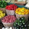 What Fruits and Vegetables Are in Season?