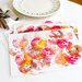 Apple Print Place Mats