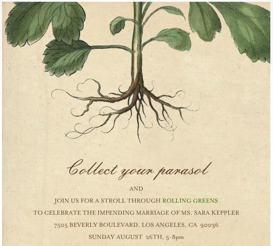 John Derian For Paperless Post Invitation John Derian For Paperless Post Invitation