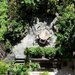 A Terraced Garden