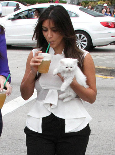 Kim Kardashian Cuddles Up to Her Cute New Companion Mercy Kim Kardashian Cuddles Up to Her Cute New Companion Mercy