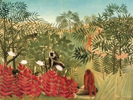 Tropical Forest With Monkeys Tropical Forest With Monkeys