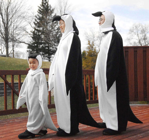 Penguin Family Penguin Family