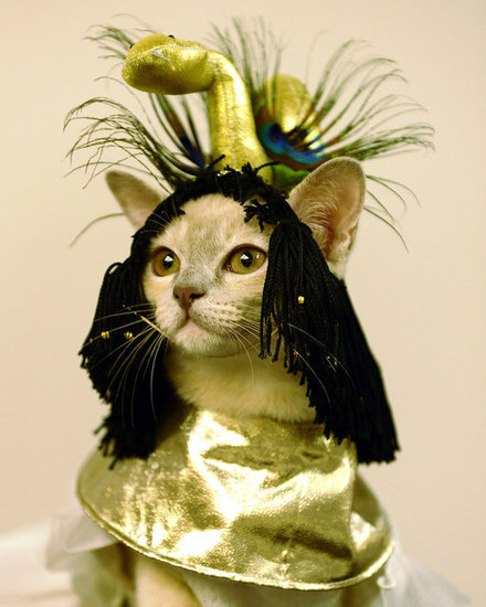 Cleocatra