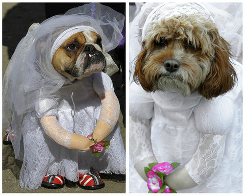 Here Come the Brides Here Come the Brides