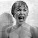 Marion Crane From Psycho