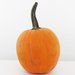Designer Pumpkin DIY