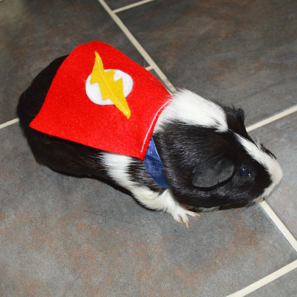 The Flash The Flash