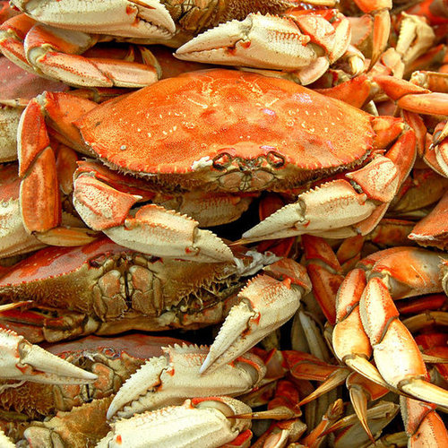 Crab Crab