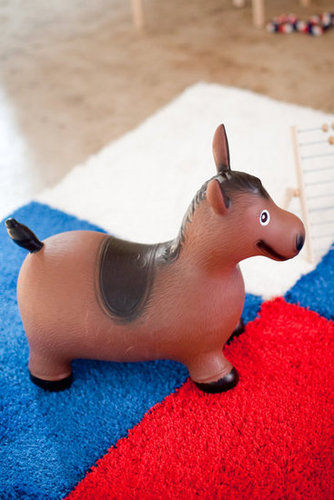 Donkey Rides Donkey Rides