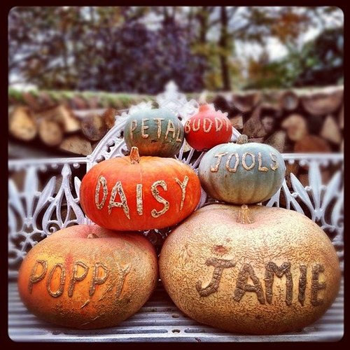 Jamie Oliver shared a snap of pumpkins decorated by the family.
Source: Instagram user jamieoliver
Jamie Oliver shared a snap of pumpkins decorated by the family.
Source: Instagram user jamieoliver