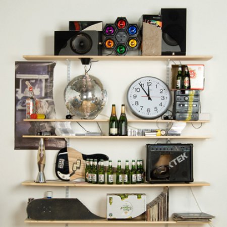 Skull Bookshelves