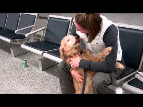A Tearful Greeting A Tearful Greeting