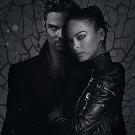 Beauty and the Beast Picked Up For a Full Season