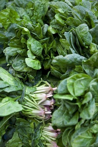 Spinach Spinach
