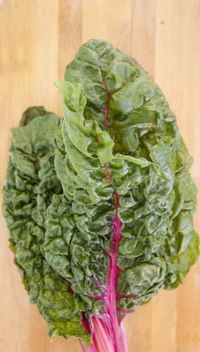 Swiss Chard Swiss Chard