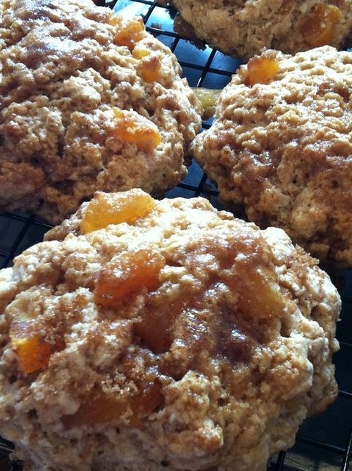 Apricot sour cream scones