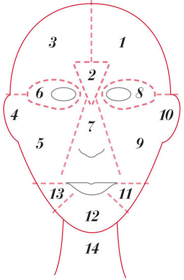 Chinese+medicine+acne+face+map