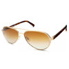 Appleton Aviators