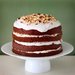 Pumpkin Spice Cake With Coconut Vanilla Icing