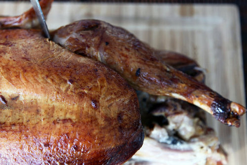 Slice Through the Skin Around the Leg Slice Through the Skin Around the Leg