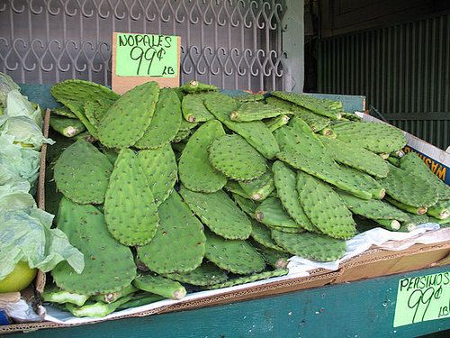 Nopales Nopales