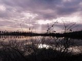 On the Lake