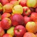 Apples