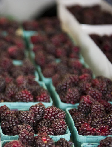 Blackberries Blackberries
