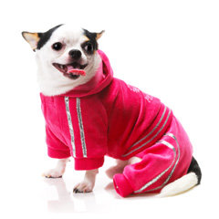 When your dog is not dressed to the nines, she'll want to don soft velour loungewear ($39) like a celebrity on her off day.
When your dog is not dressed to the nines, she'll want to don soft velour loungewear ($39) like a celebrity on her off day.