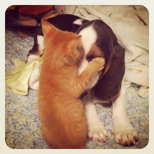 No Really, Don't Look! No Really, Don't Look!