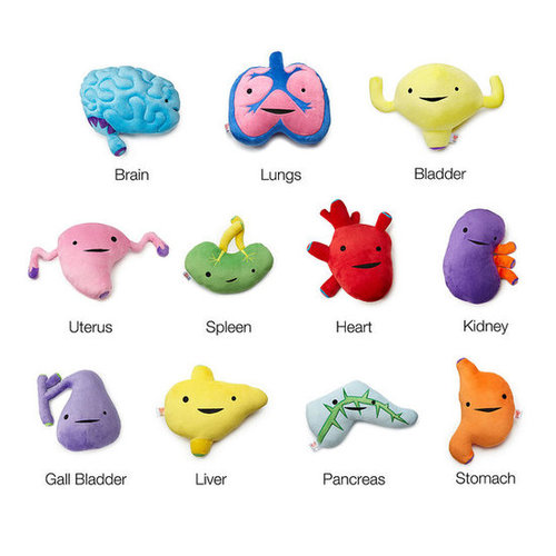 Plush Organs Plush Organs