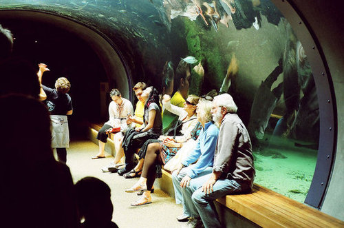 Museum Pass Museum Pass
