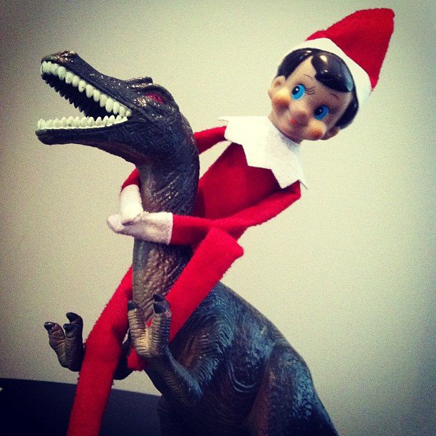 Dinosaur Wrangling Dinosaur Wrangling