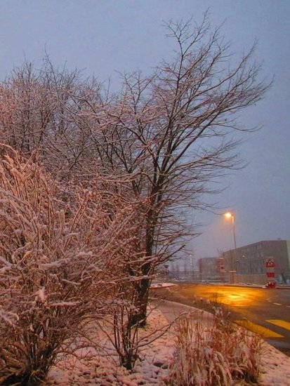 Winter in Kaiseraugst