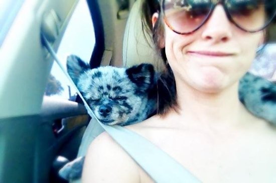 Enjoying a Drive