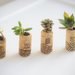 Cork Planters
