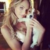 Celebrities and Their Pets