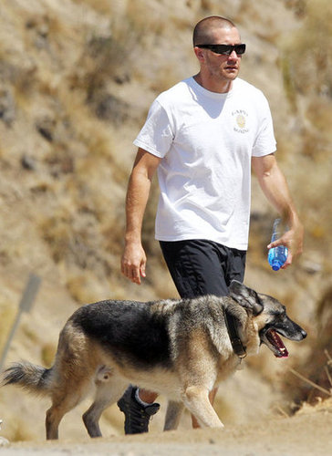 Jake Gyllenhaal took his dog for a walk around LA's Runyon Canyon in September 2011.
Jake Gyllenhaal took his dog for a walk around LA's Runyon Canyon in September 2011.