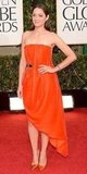 Marion Cotillard(2013 Golden Globes Awards)
