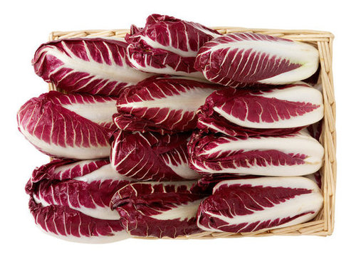 Radicchio Radicchio