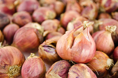 Shallots Shallots