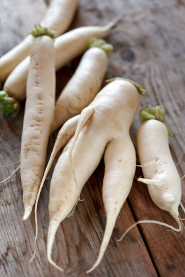 Daikon Radish