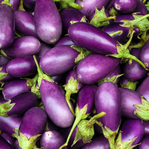 Eggplant Eggplant