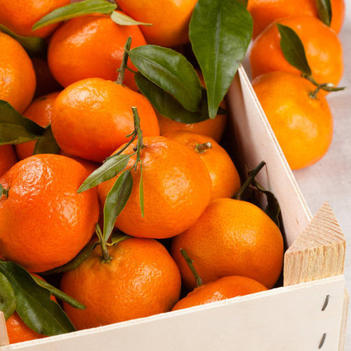 Satsumas Satsumas