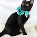 Cat Collar Flower