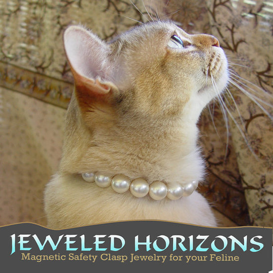 Pearl Cat Collar Pearl Cat Collar