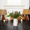 New Orleans Rentals For Mardi Gras