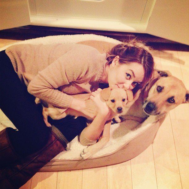 She snuggled up with her pups.
Source: Instagram user laurenconrad
She snuggled up with her pups.
Source: Instagram user laurenconrad