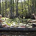 Safe Haven